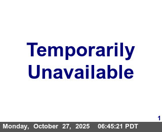SR-1 : Gasker Slough - Looking North (CXXX)